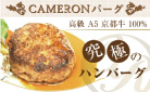 CAMERONバーグ